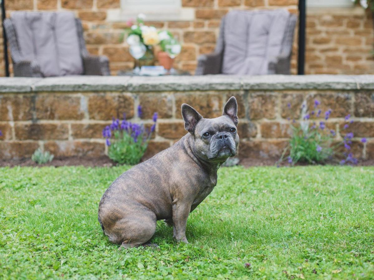 Climbing Rose Cottage - Dog Friendly - Peaceful Cotswold Cottage Adlestrop 외부 사진
